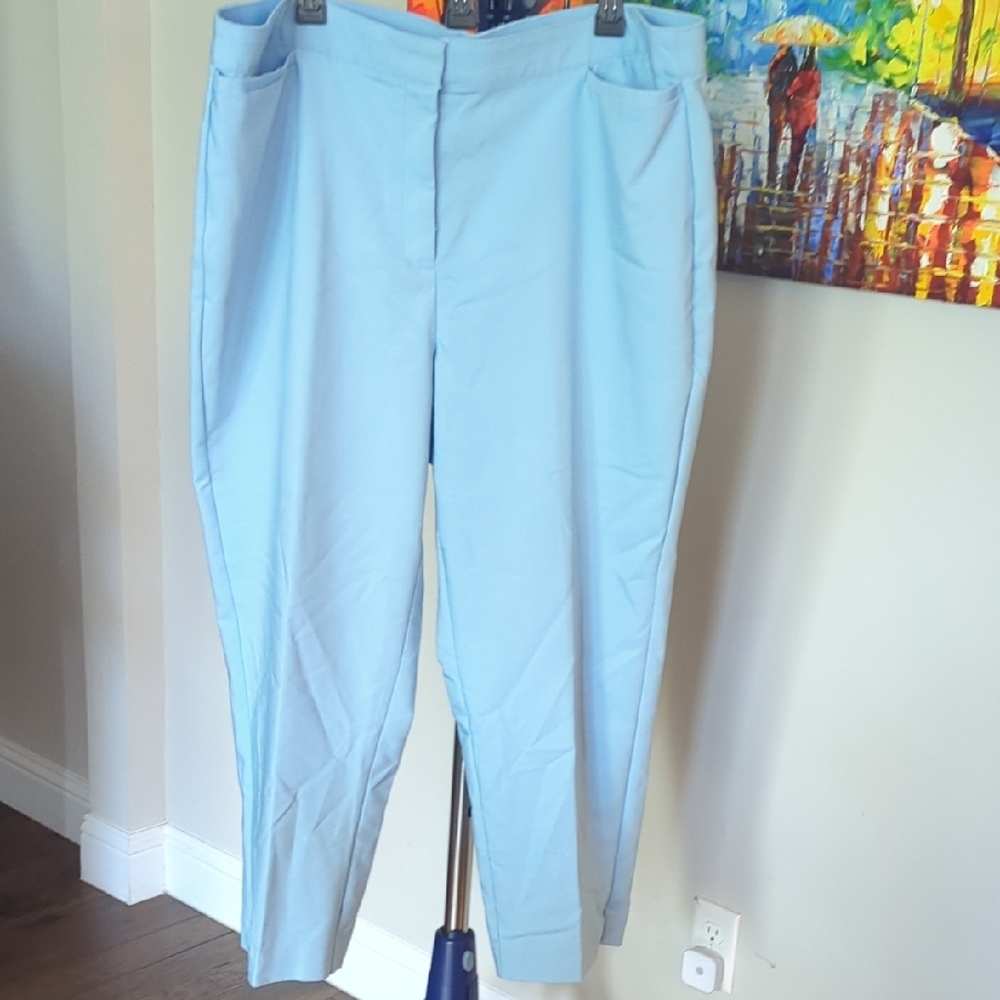 Ruby Rd. Sky Blue Ankle Pants